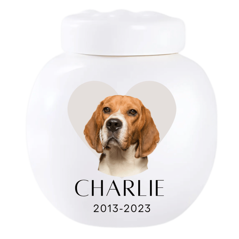 Personalised Ceramic Dog Urn with Photo – Pet Cremation Urn for Ashes with Name, Dates & Heart Tribute