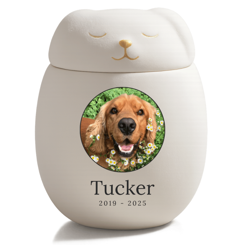Personalised Ceramic Dog Urn with Sleeping Pet Lid – Cremation Urn for Ashes with Dog's Photo & Details in a Halo Frame