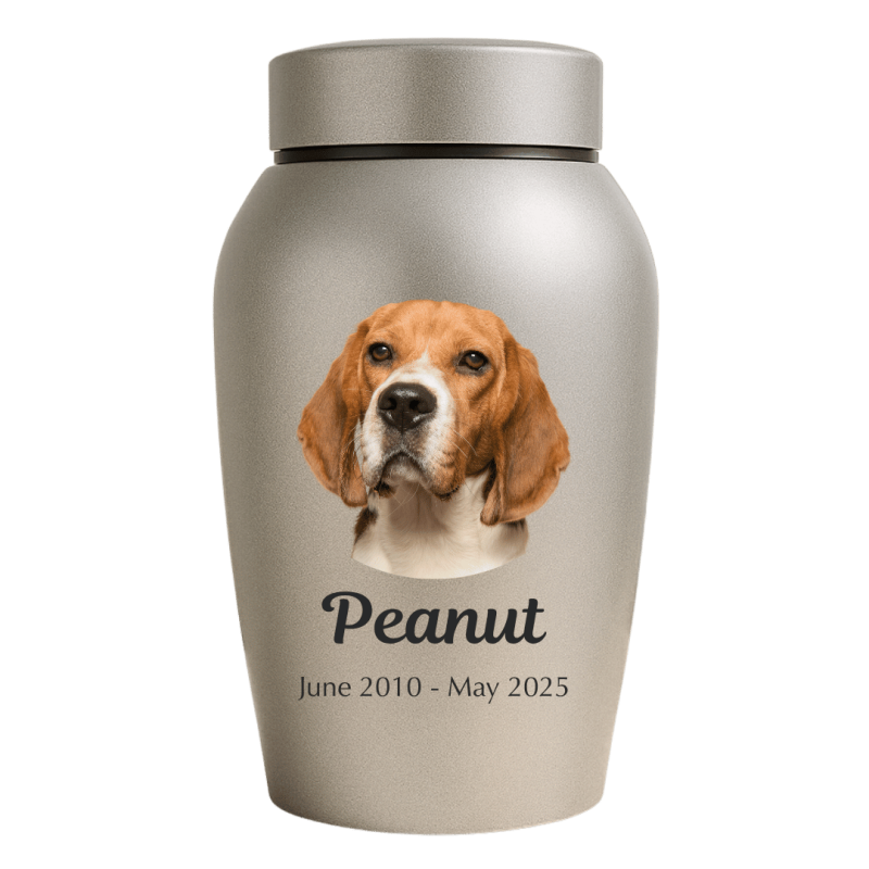 Personalised Dog Urn with Photo – Stainless Steel Memorial Urn with Name & Dates