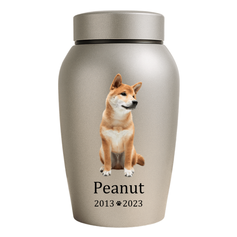 Personalised Dog Urn with Full Pet Portrait – Stainless Steel Memorial Urn with Name & Dates
