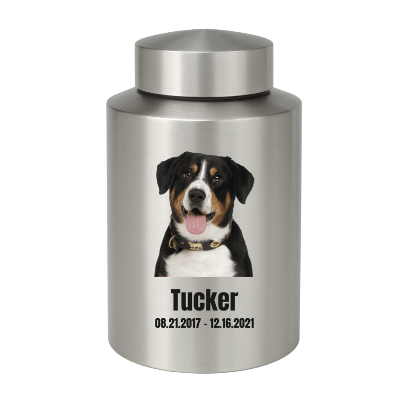 Personalised Dog Urn with Photo – Cylinder Stainless Steel Memorial Urn  with Name & Dates