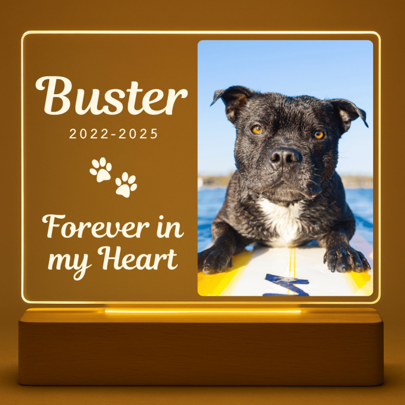 Personalised Dog Memorial Light with Photo – Rectangular Landscape LED Pet Tribute Lamp with Engraved Name & Dates on Acrylic Plaque